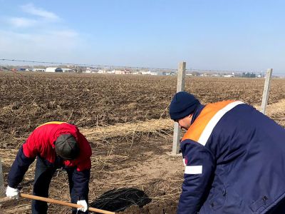 Энергетики Усть-Каменогорской ТЭЦ провели экологическую акцию