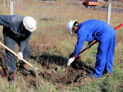 Энергетики ТОО «Усть-Каменогорская ТЭЦ» провели экологическую акцию