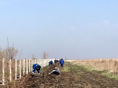 Энергетики Усть-Каменогорской ТЭЦ провели экологическую акцию