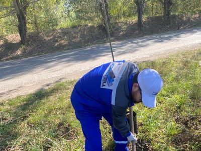 Забота об экологии - Наш приоритет