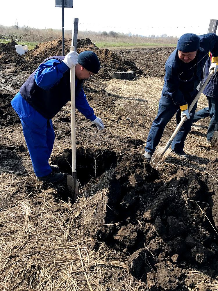 Энергетики Усть-Каменогорской ТЭЦ провели экологическую акцию