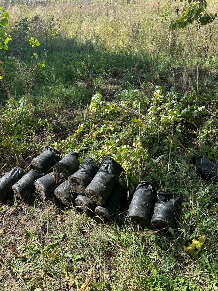 Өскемен ЖЭО сенбілік өткізіп, 67 ағаш отырғызды