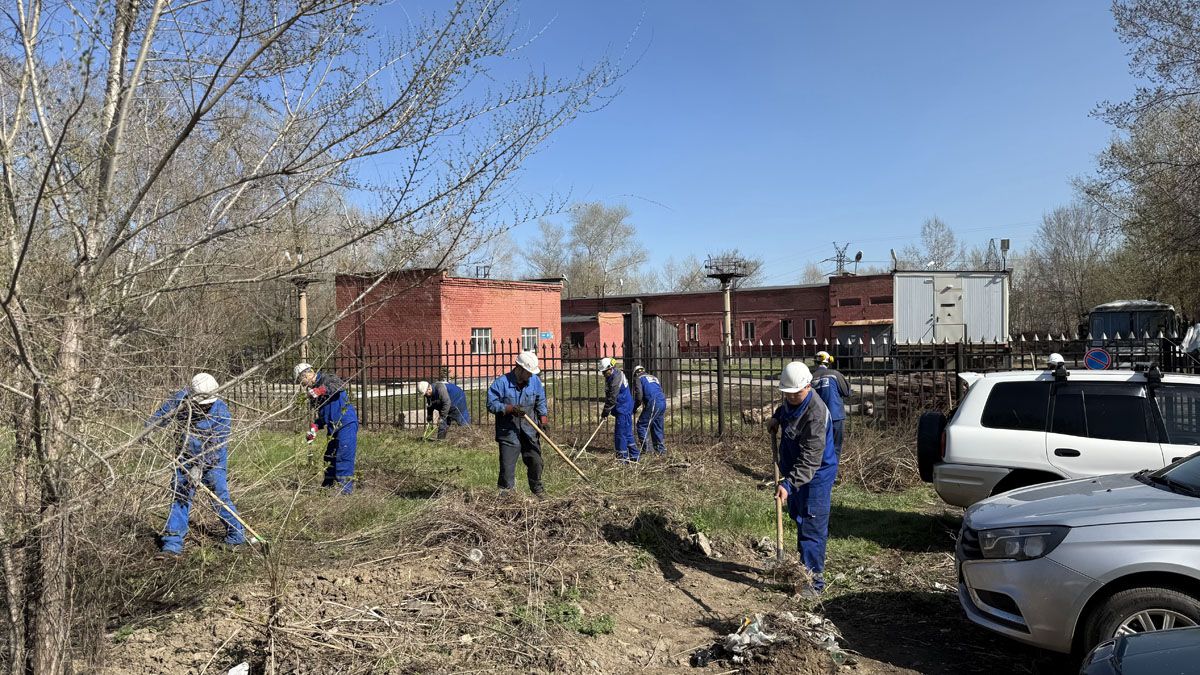 Опытное поле кенті жасылдана түсті, ал Үлбі жағалауы тазартылды