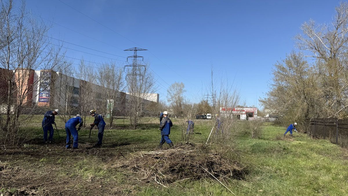 Опытное поле кенті жасылдана түсті, ал Үлбі жағалауы тазартылды