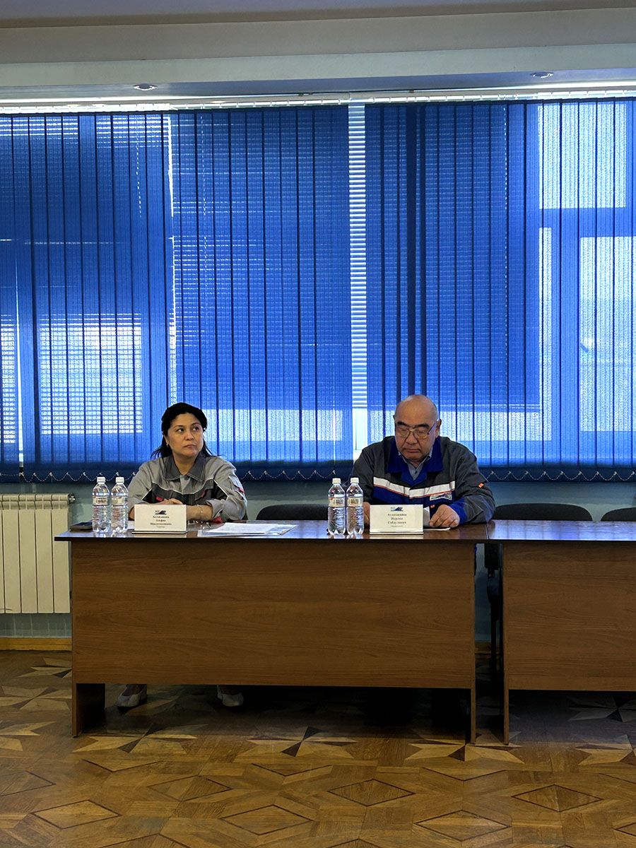 Усть-Каменогорская ТЭЦ представила проект расширения